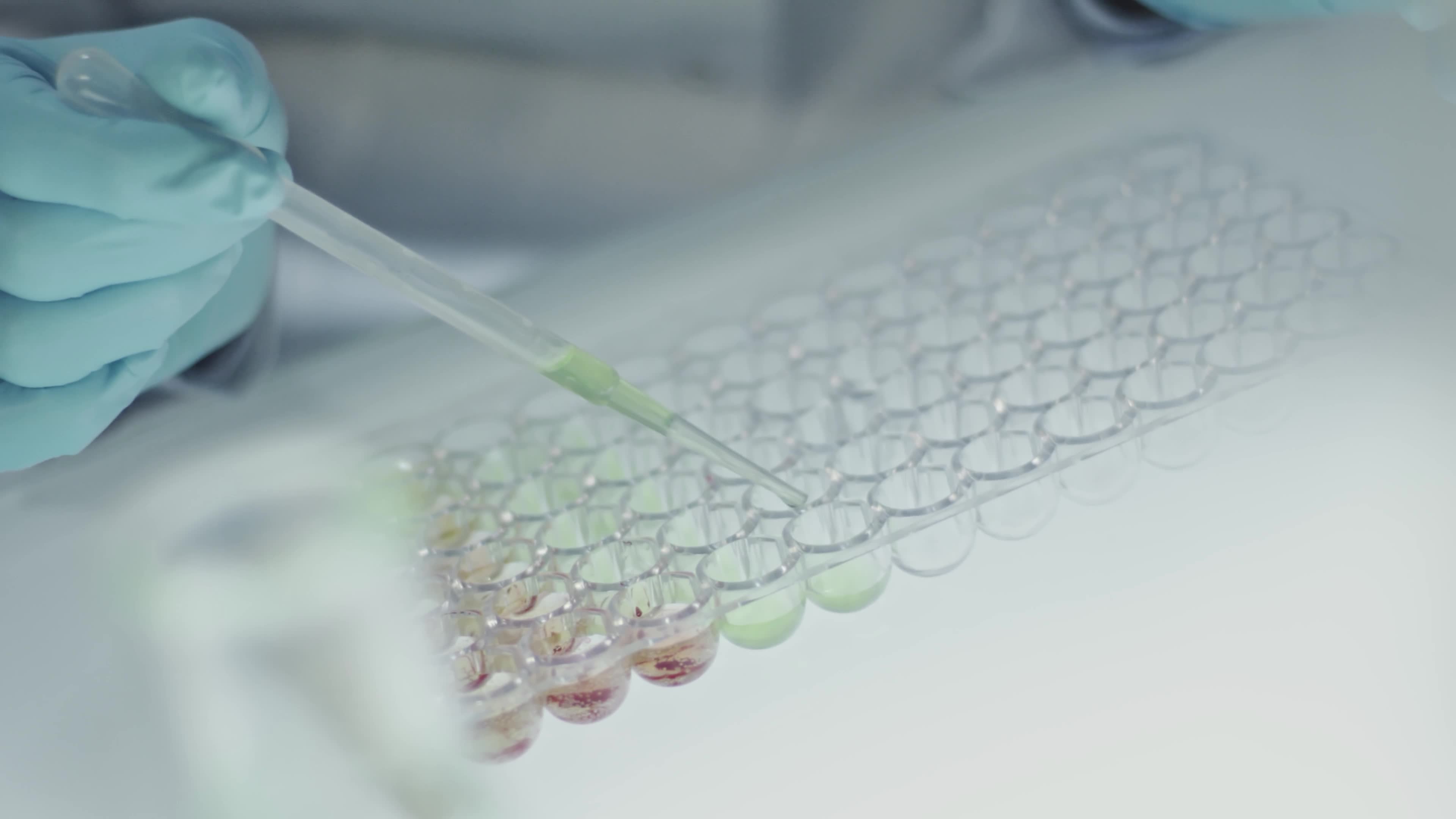 Testing is Experiment